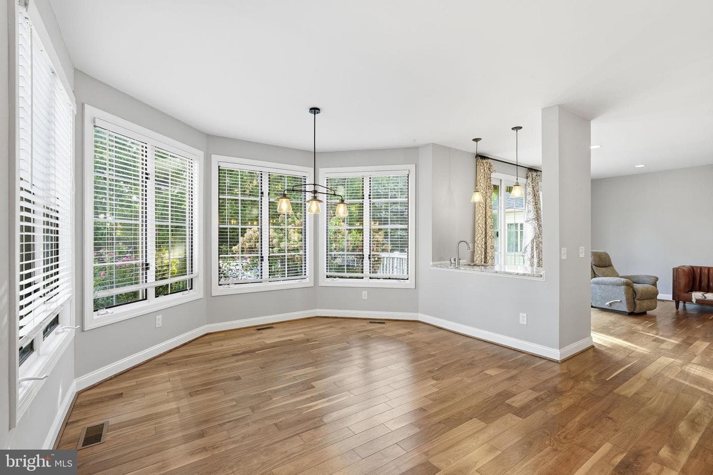 43949 Bruceton Mills Circle photo 9