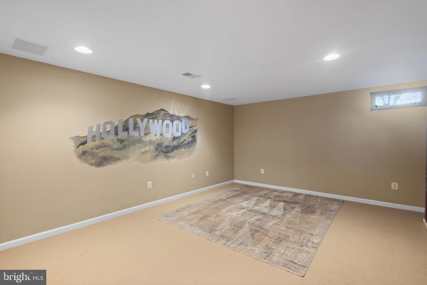22579 Forest Manor Drive photo 46