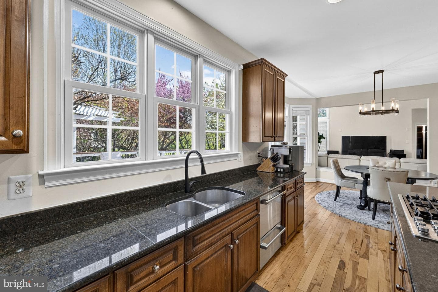 42758 Glenside Drive photo 40
