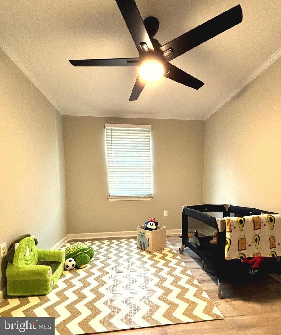 43 Bickel Court photo 8