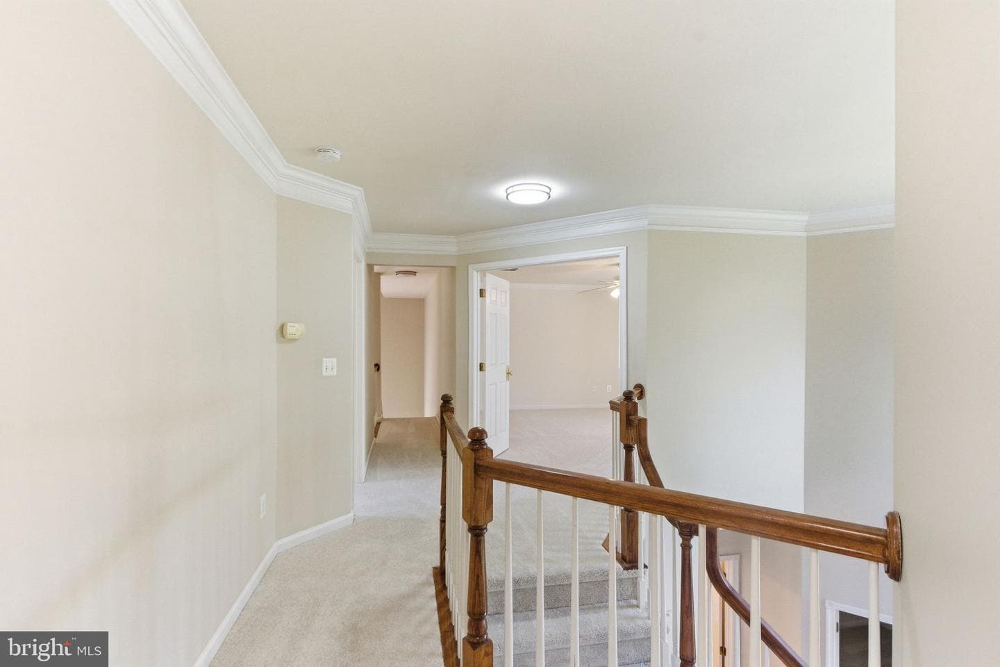 43694 Frost Court photo 29