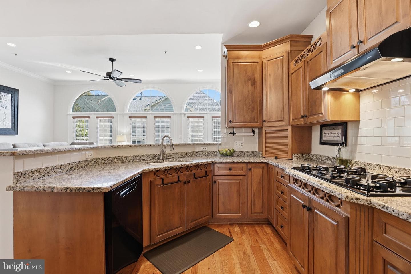 20378 Cottswold Terrace #67 photo 12