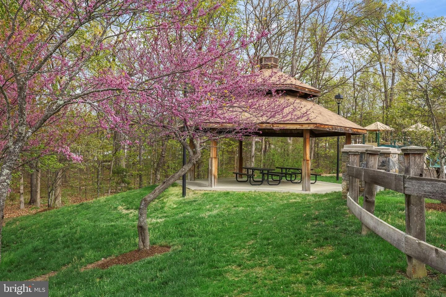 42125 Byrnes View Terrace photo 44