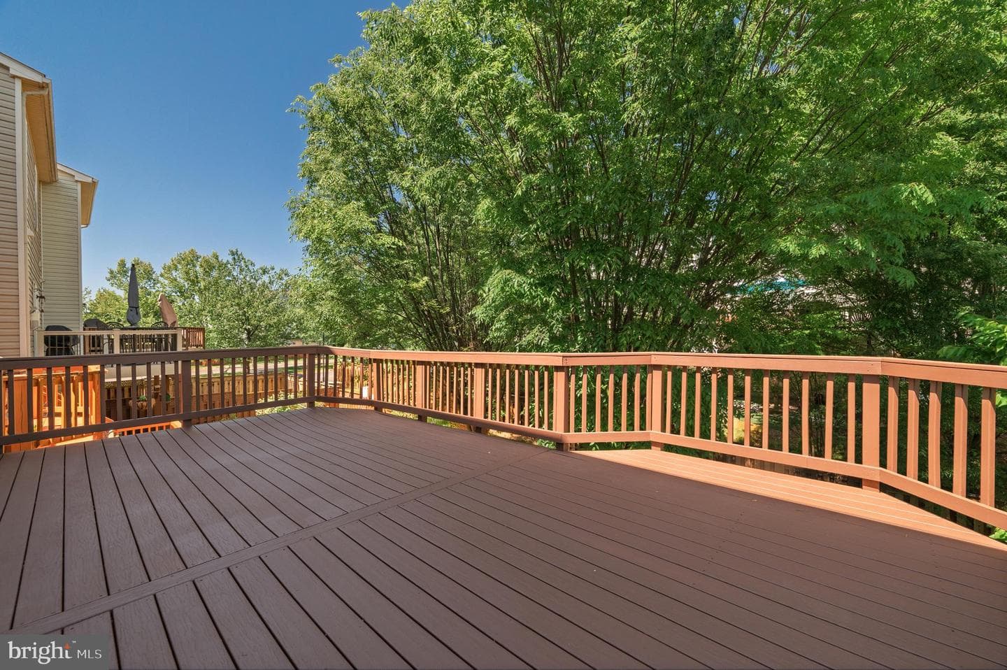 25139 Hummocky Terrace photo 55