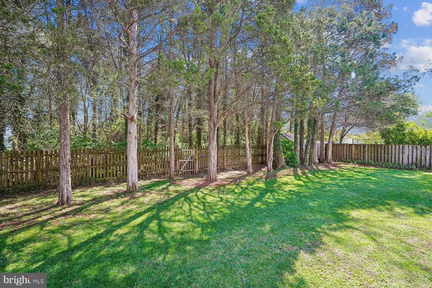 250 E Juniper Avenue E photo 53