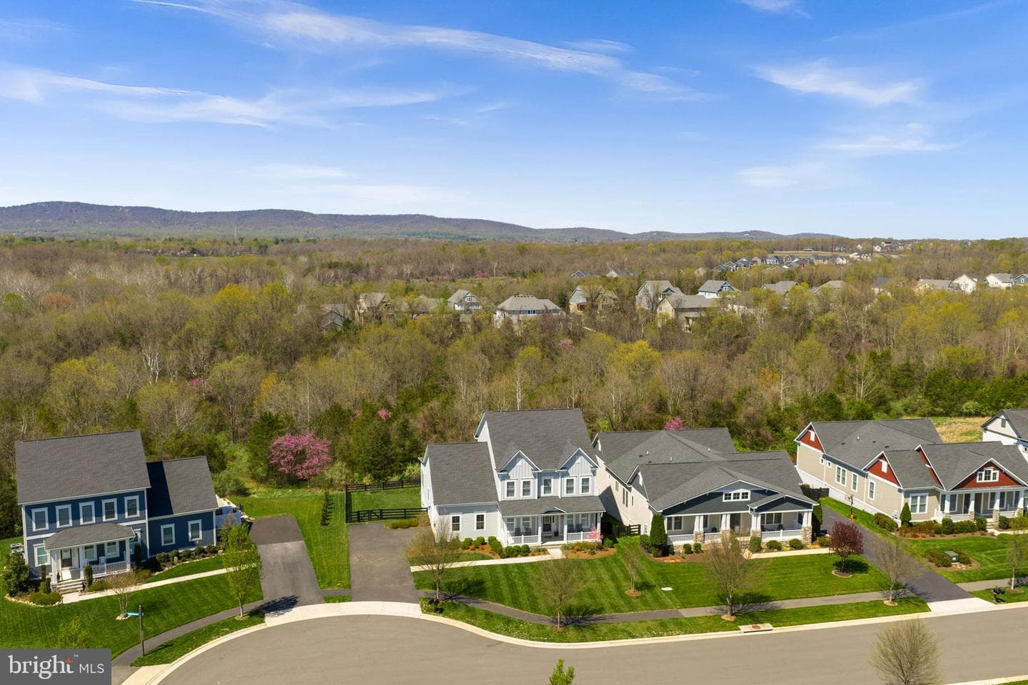 25959 Cullen Run Place photo 75