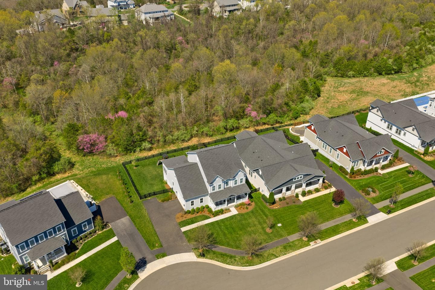 25959 Cullen Run Place photo 76