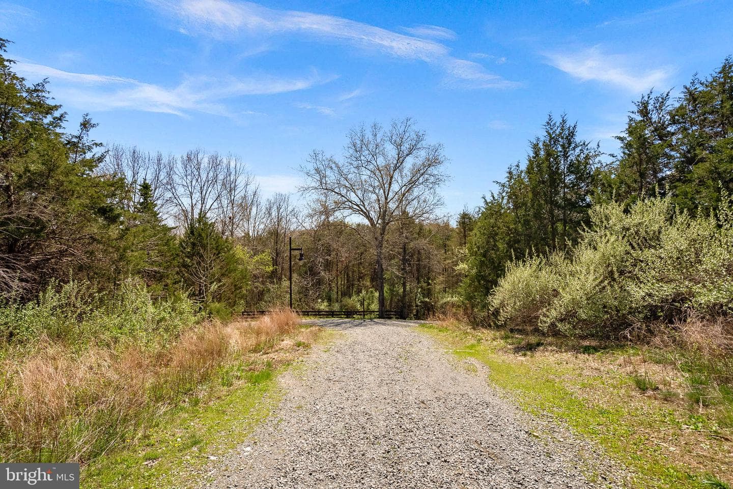 25959 Cullen Run Place photo 83