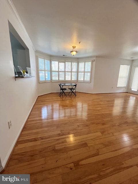 44104 Natalie Terrace #101, Ashburn