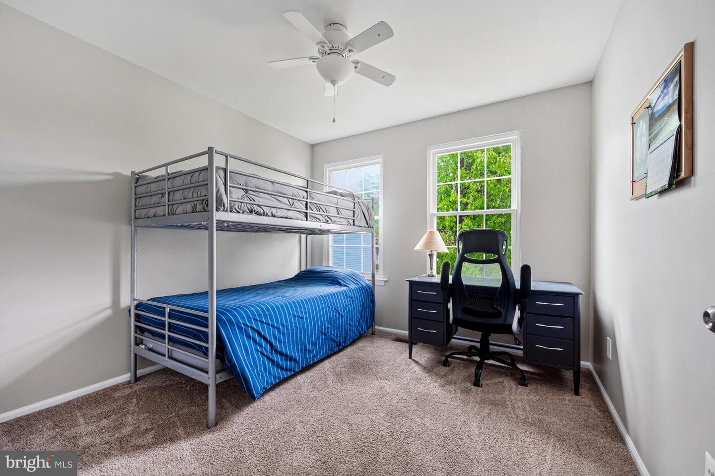5 Dudley Court photo 34