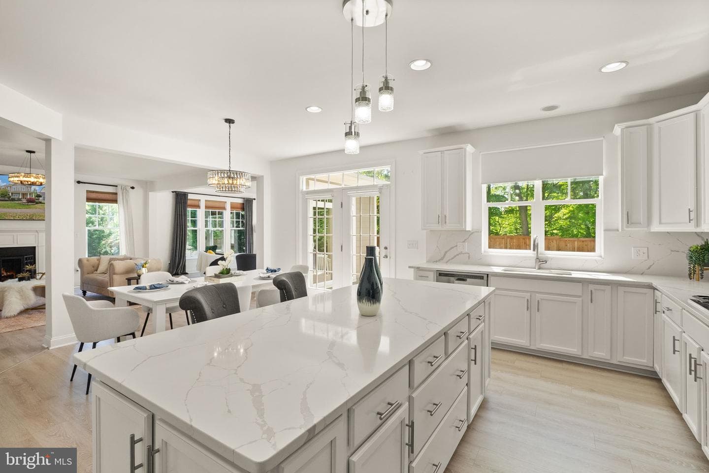 41125 Sheffield Forest Drive photo 2