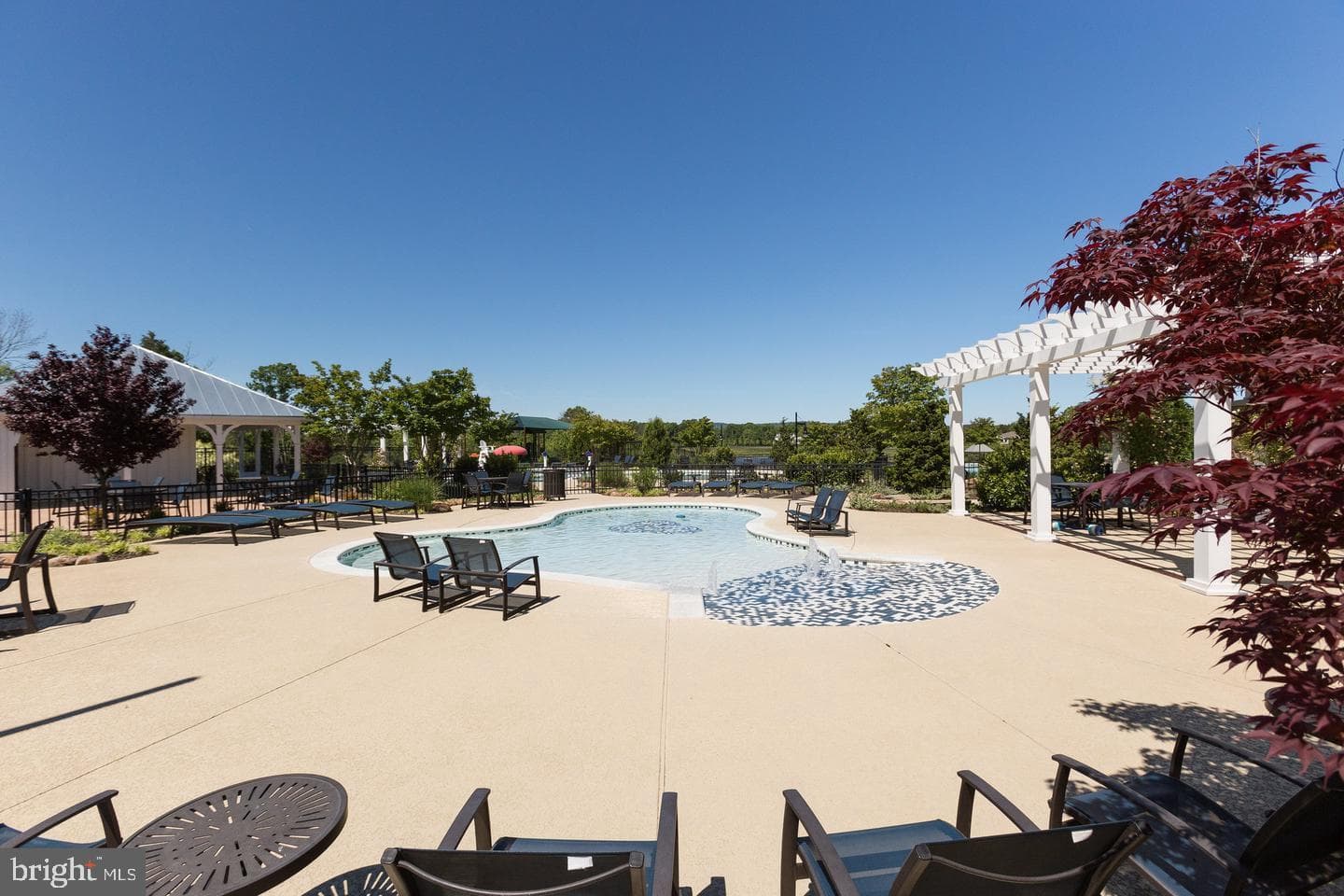 41125 Sheffield Forest Drive photo 62
