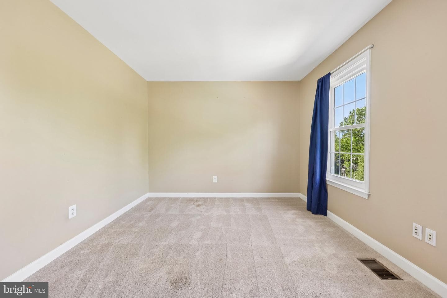 20547 Courier Ridge Place photo 47