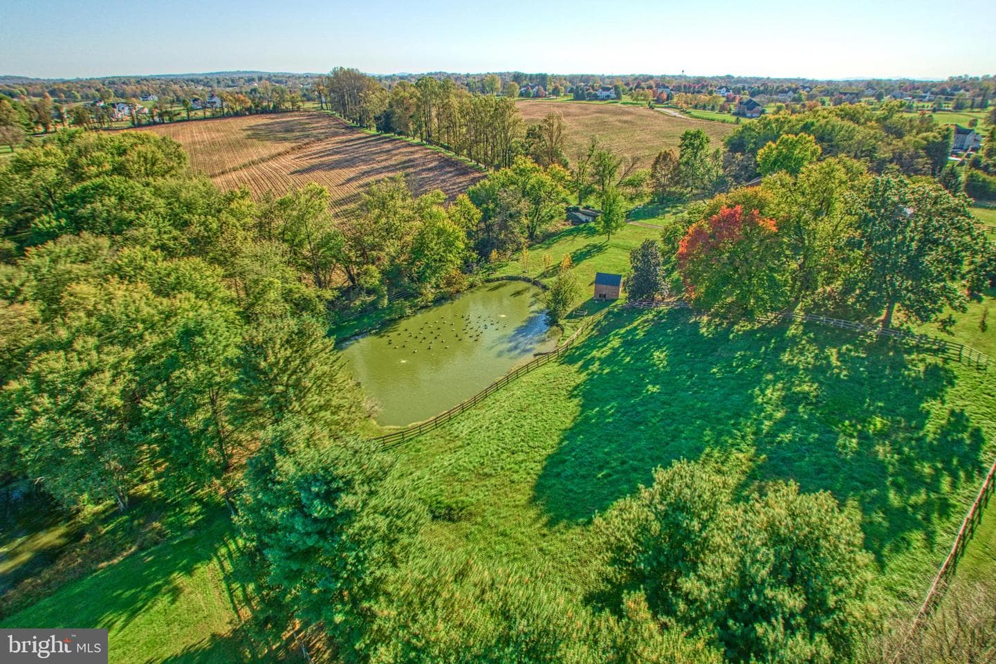 38678 Piggott Bottom Road photo 94