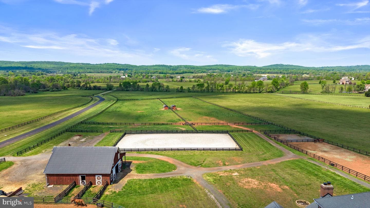 15145 Lees Crossing Ln photo 67