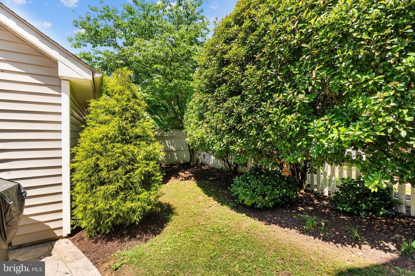 20317 Vermeer Street photo 42