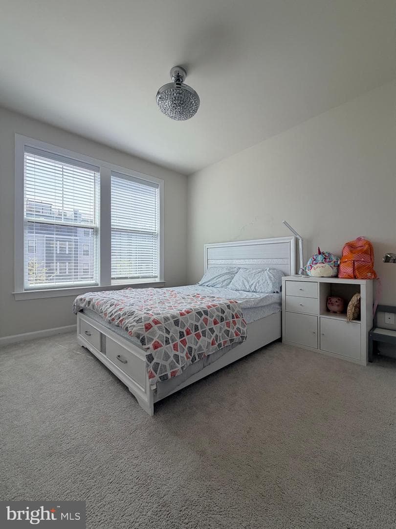 45103 Cappamore Terrace photo 30