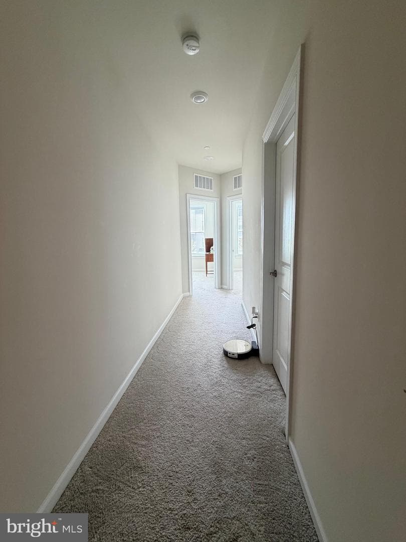 45103 Cappamore Terrace photo 33