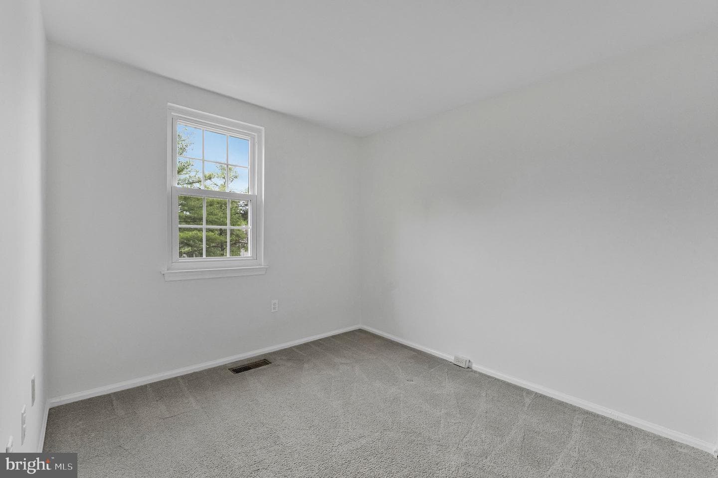 16 Dulany Court photo 28