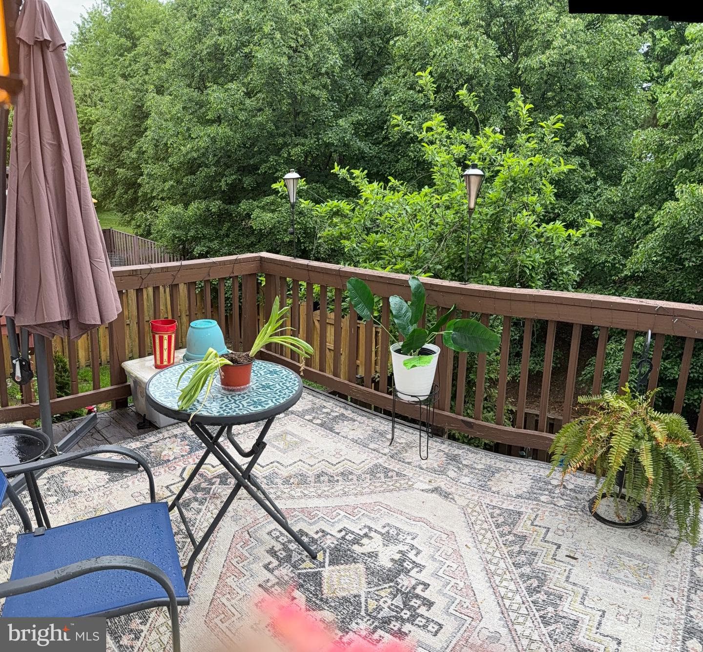 20275 Glenrobin Terrace photo 37