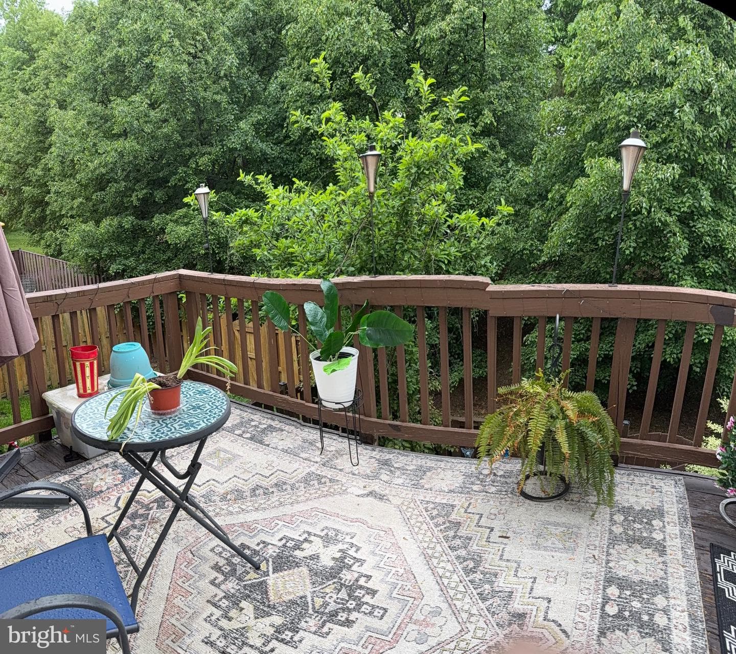 20275 Glenrobin Terrace photo 6