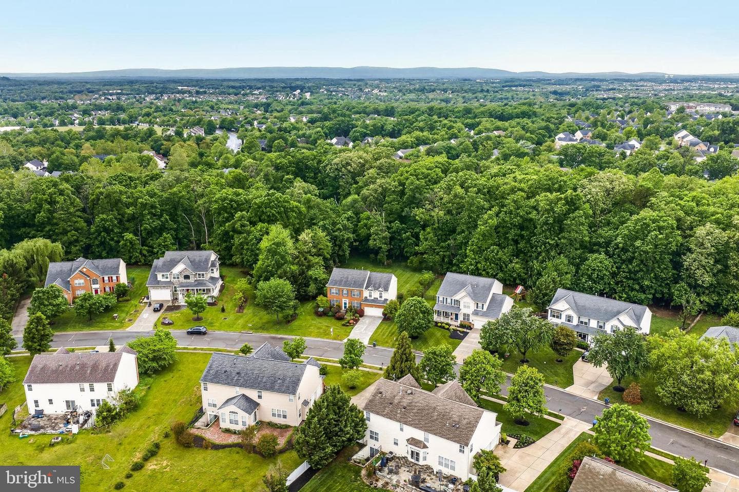 25825 Spring Farm Circle photo 10