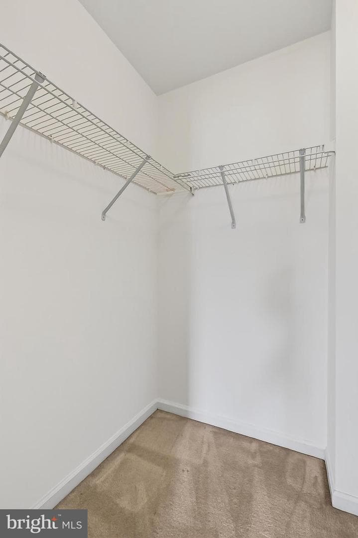 25825 Spring Farm Circle photo 47