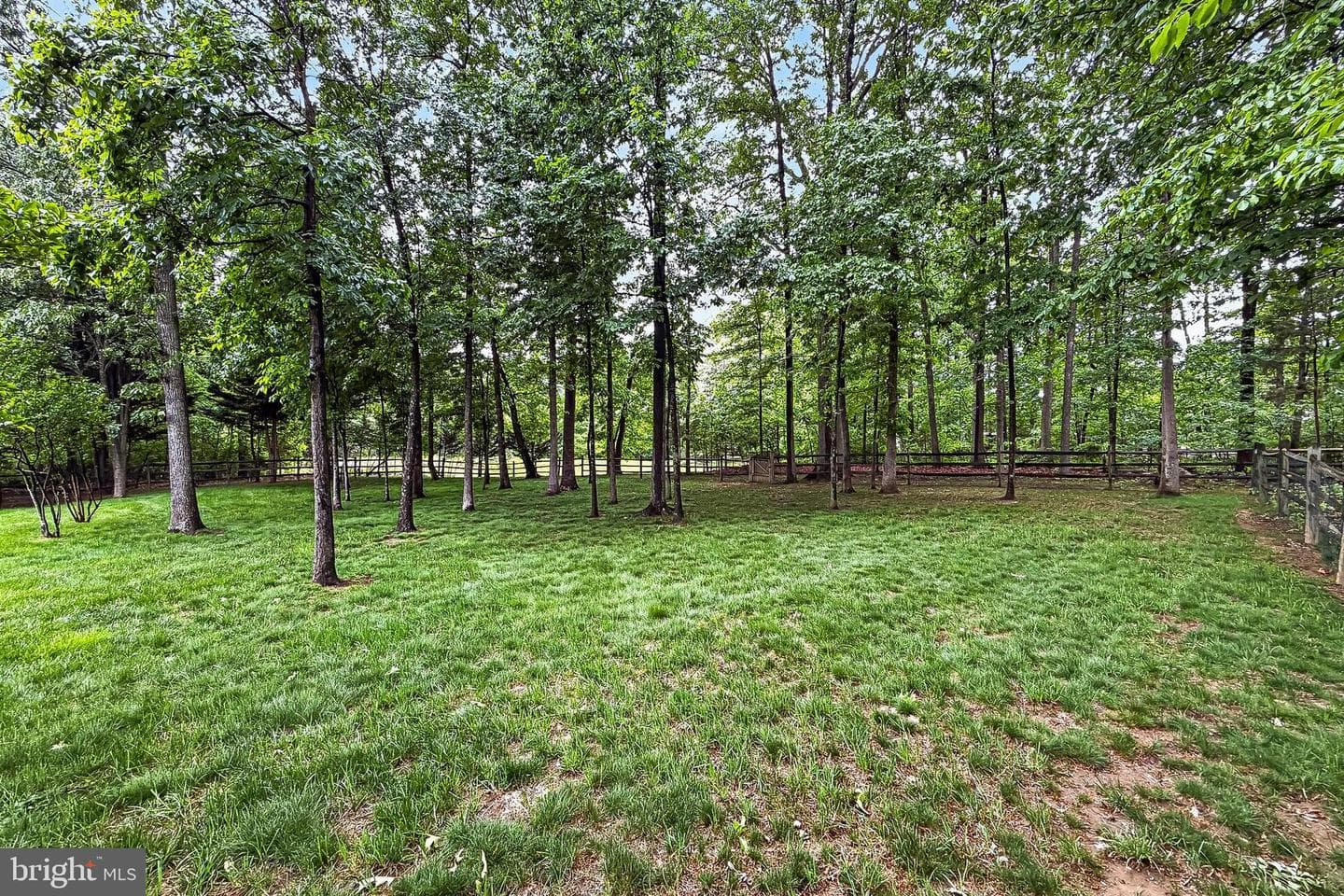 25825 Spring Farm Circle photo 70