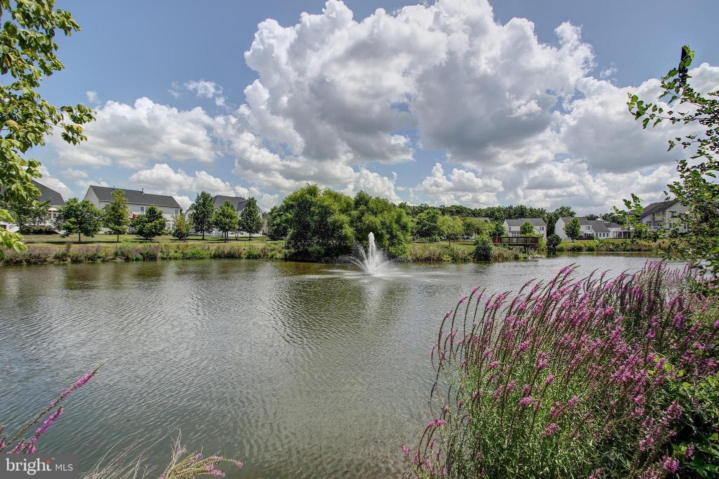 25478 Kinsale Place photo 84