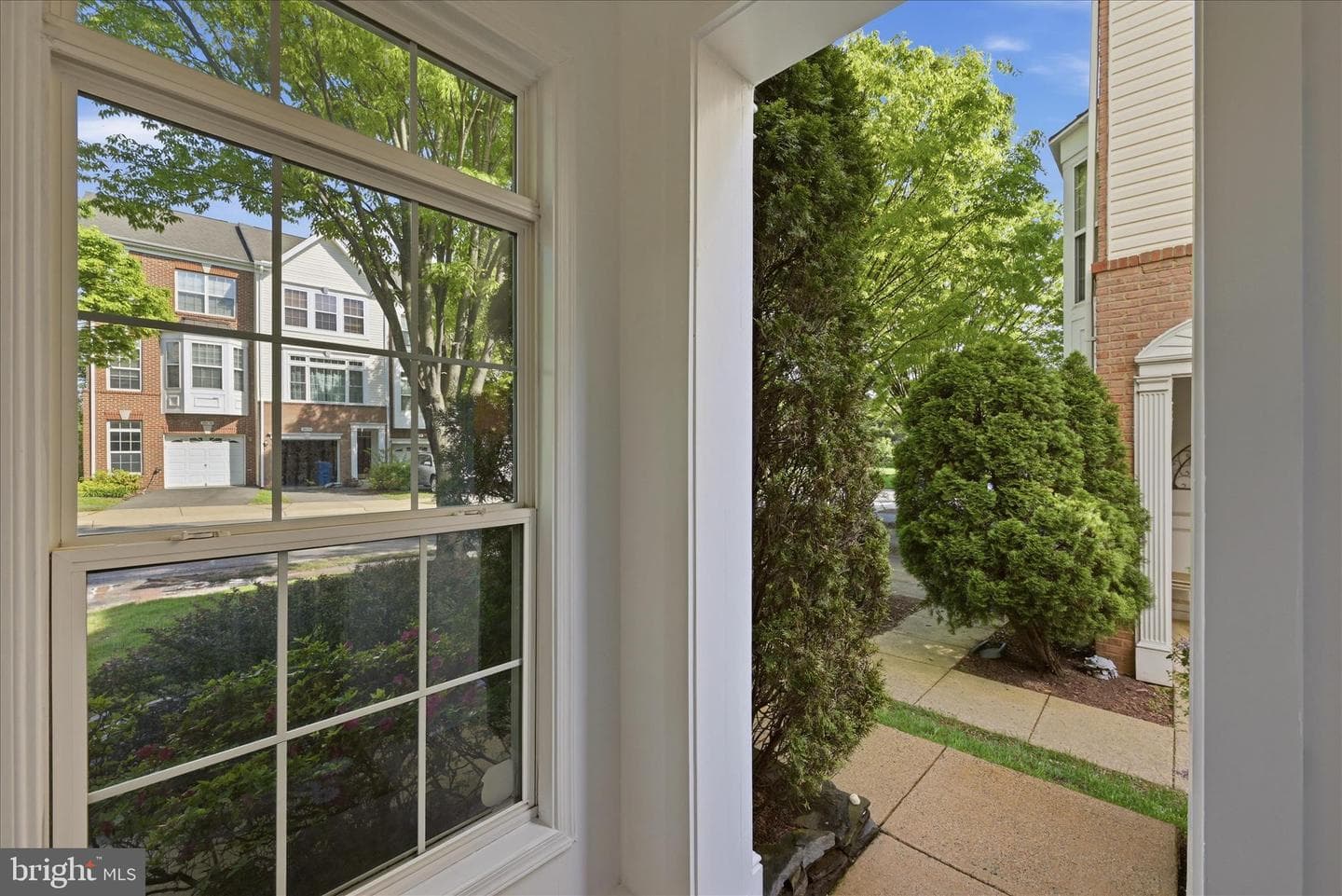20471 Greymont Terrace photo 4