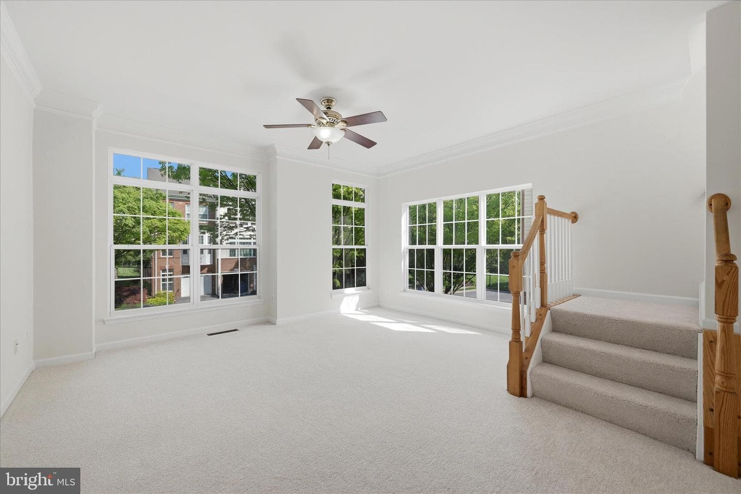20471 Greymont Terrace photo 8