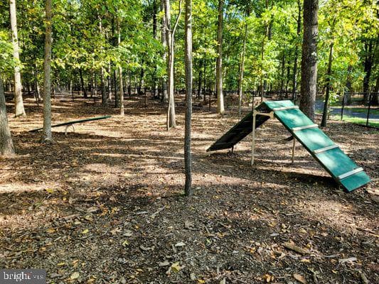 41305 Windybush Drive photo 88