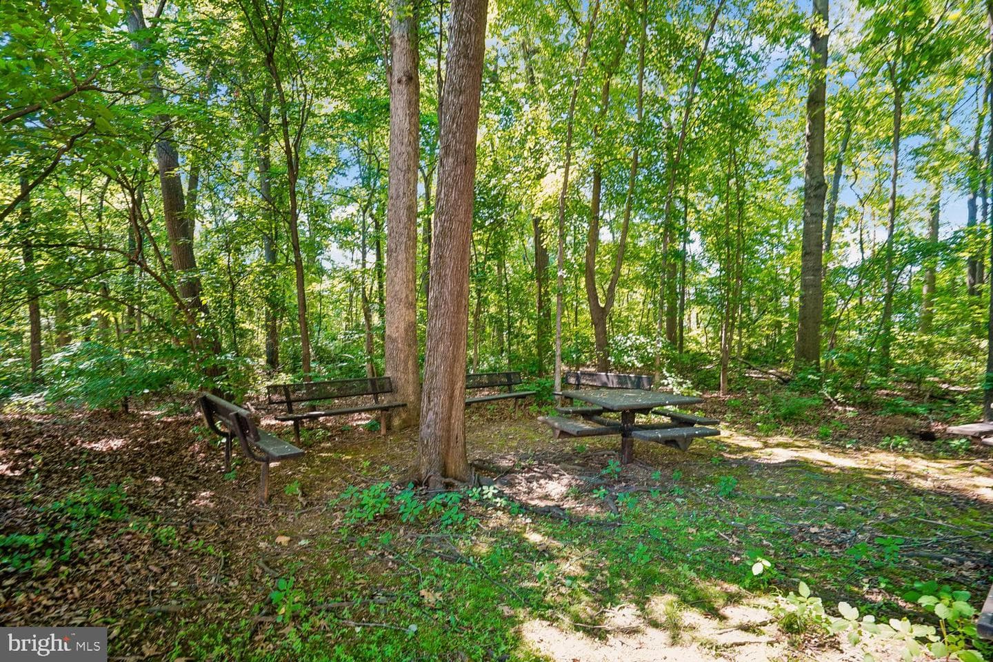 43131 Huntsman Square photo 11