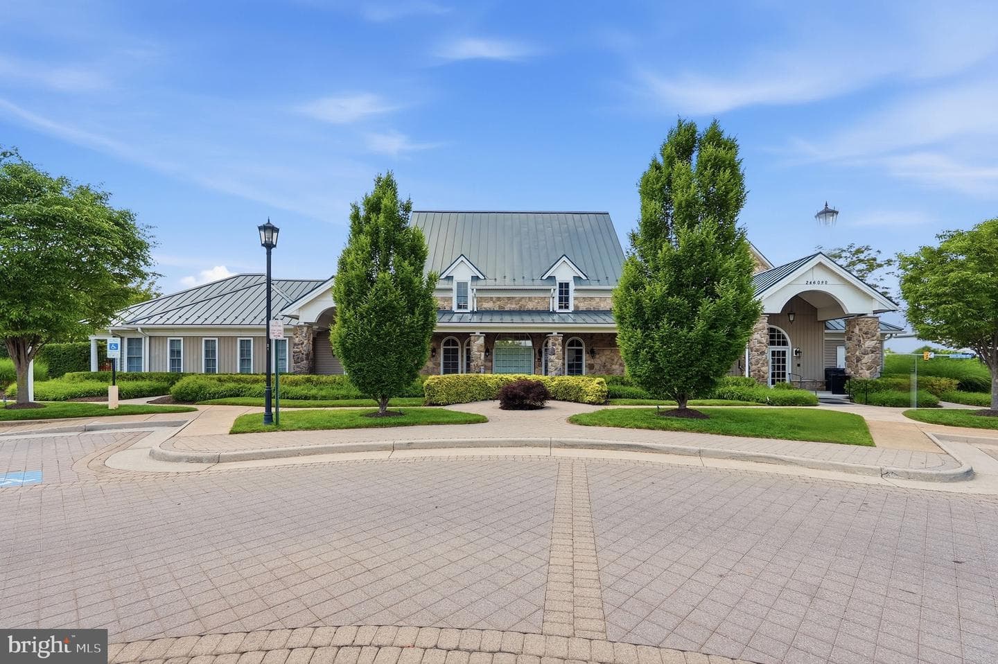 42167 Canary Grass Square photo 52