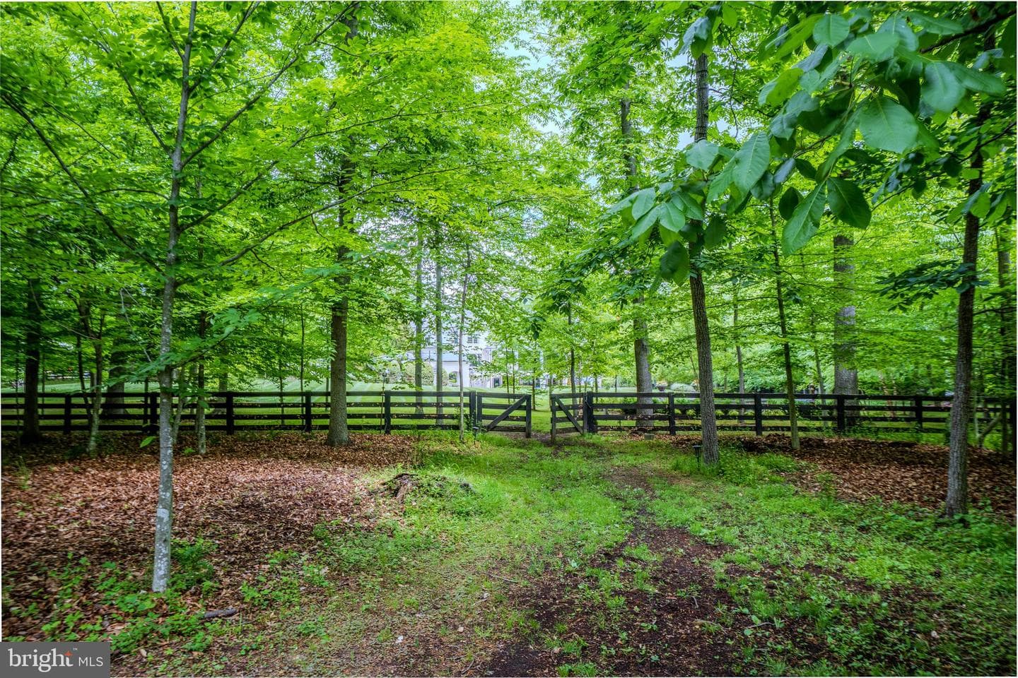 40935 Grenata Preserve Place photo 130