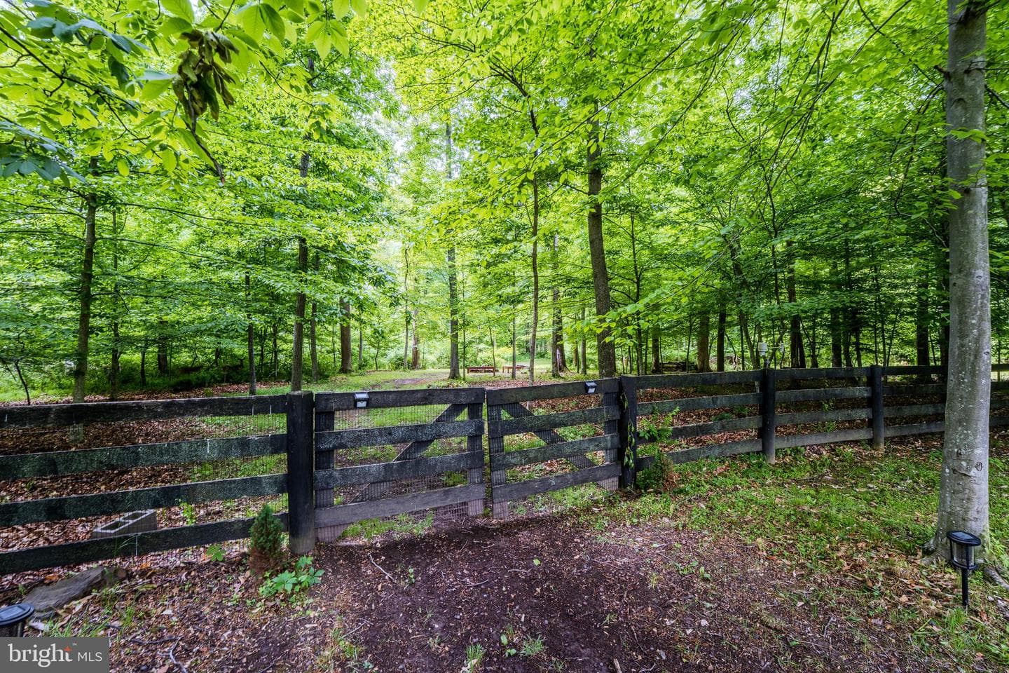 40935 Grenata Preserve Place photo 131