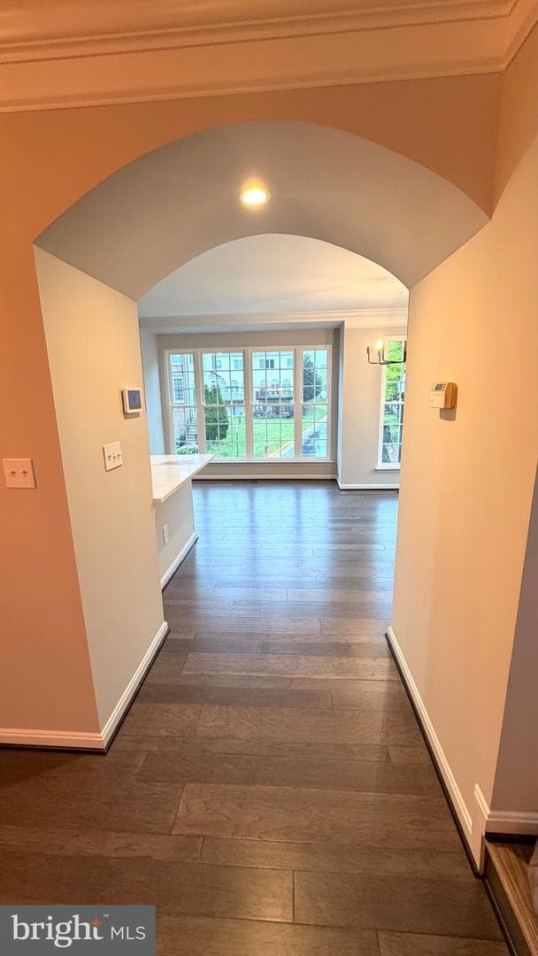 26121 Nimbleton Square photo 19