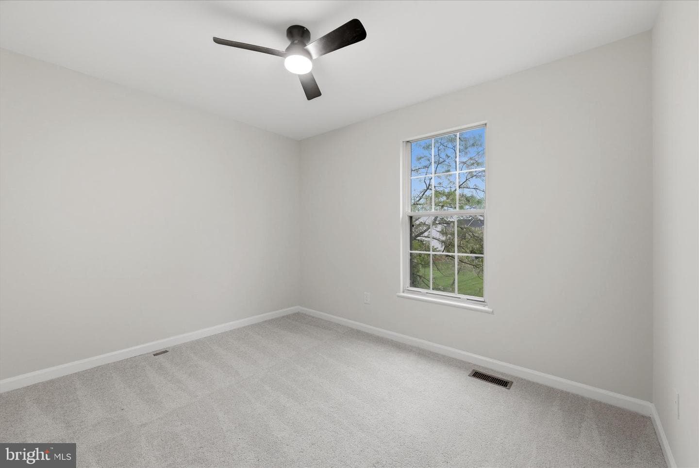 20368 Burnley Square photo 18