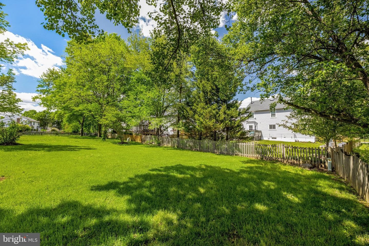 43501 Golden Meadow Circle photo 62