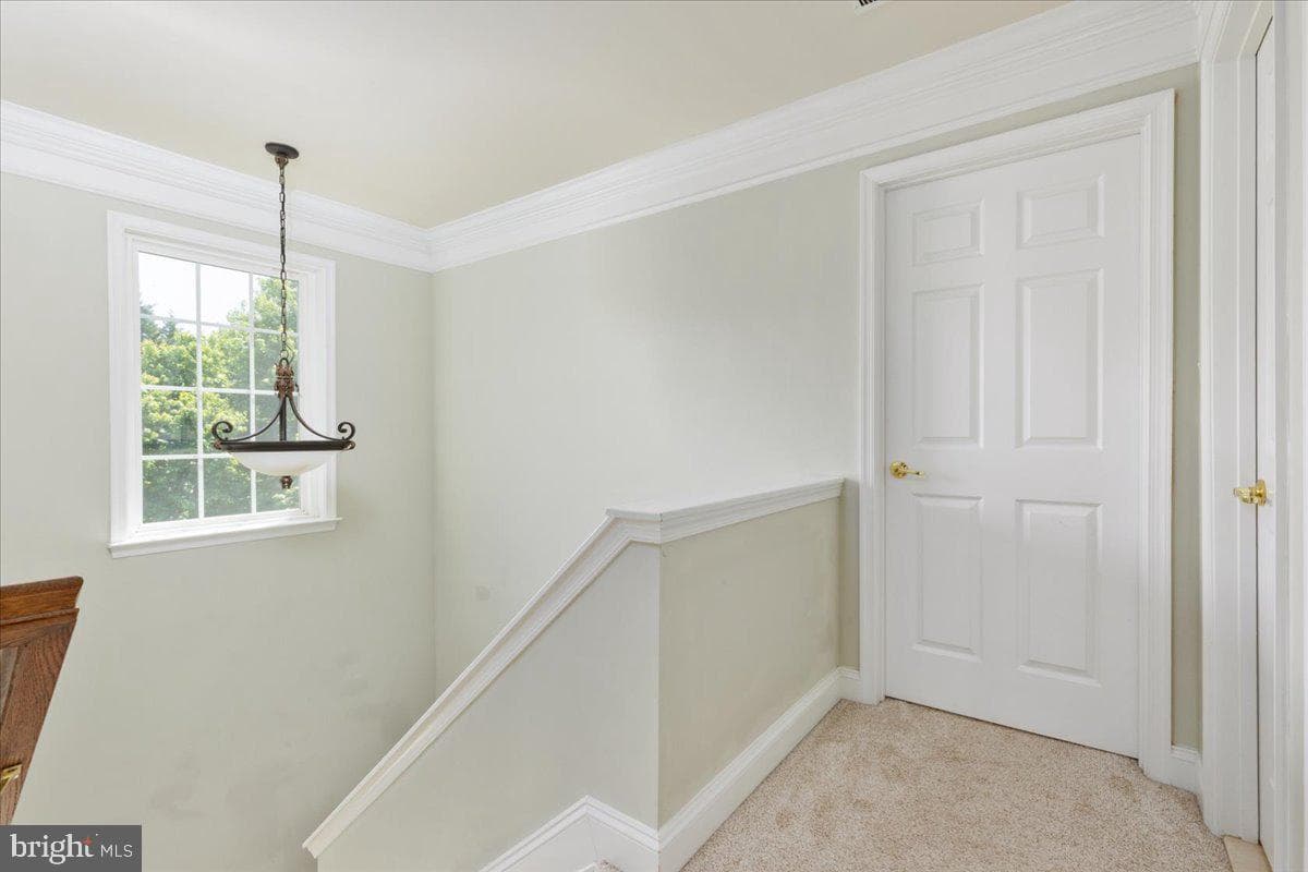 20344 Center Brook Square photo 28