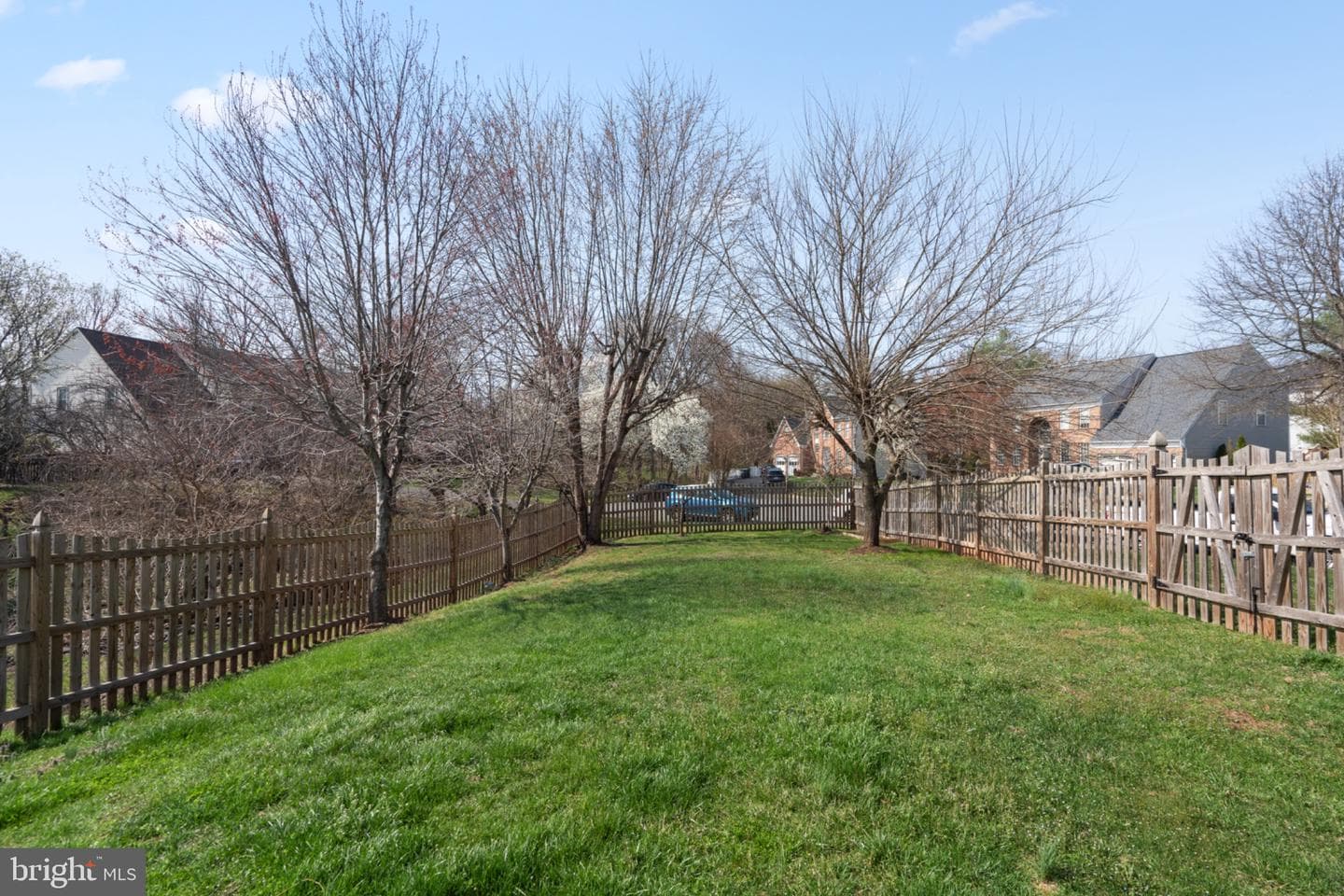21143 Mayapple Place photo 2