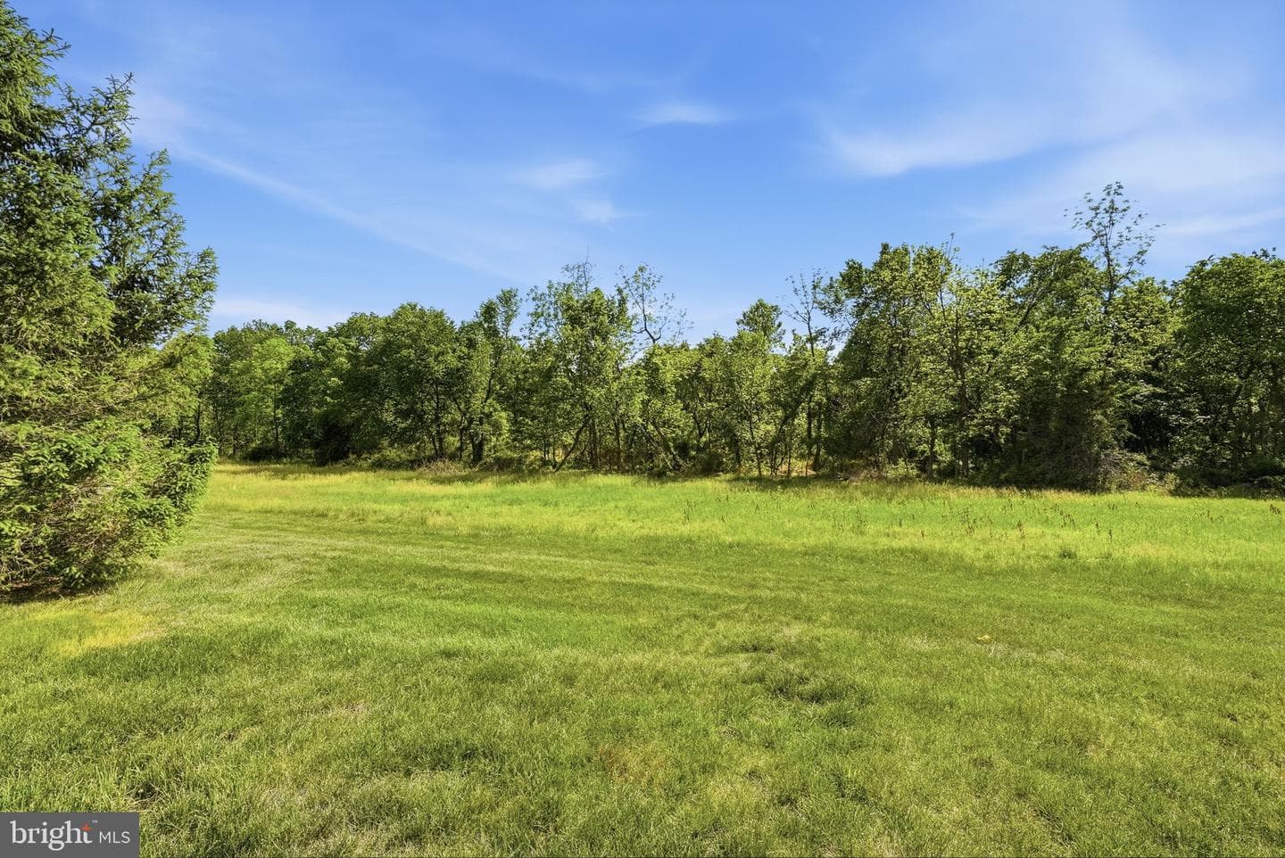 22909 N Brown Square photo 52