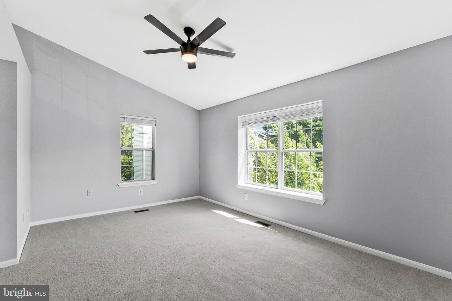 21676 Calamary Circle photo 27