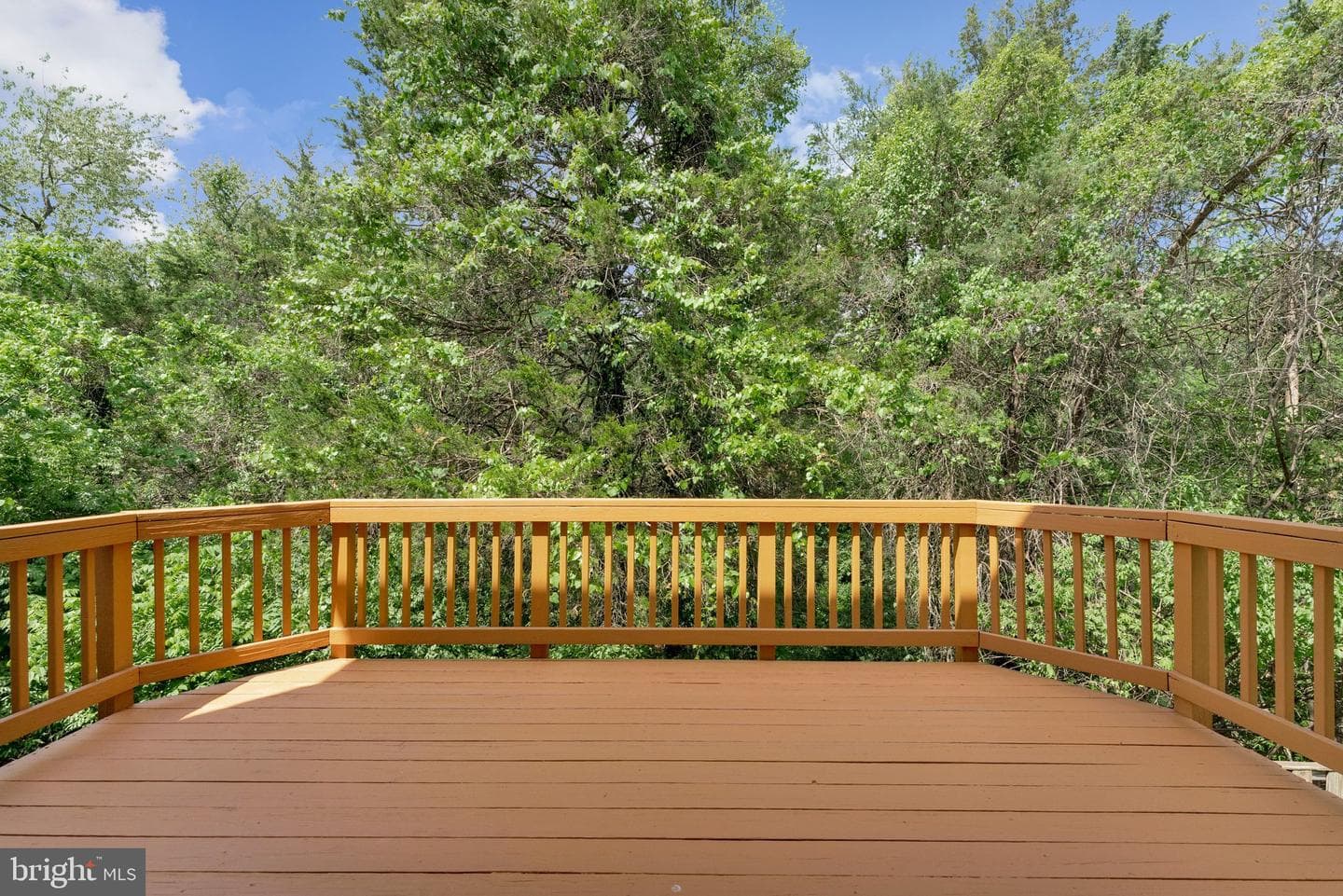 21676 Calamary Circle photo 41