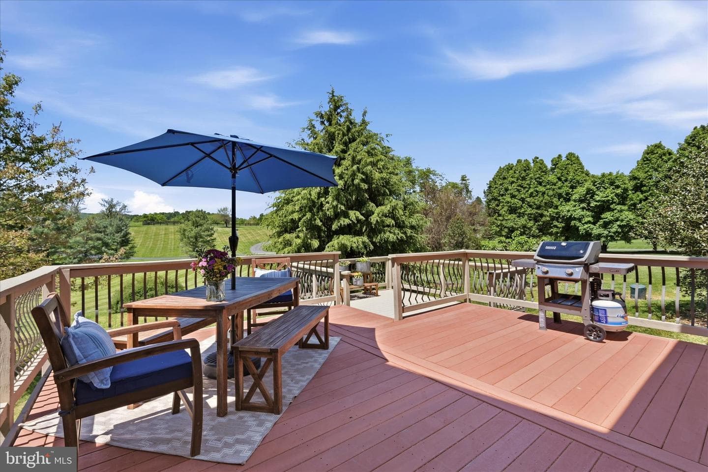 36704 Vineyard View Place photo 18