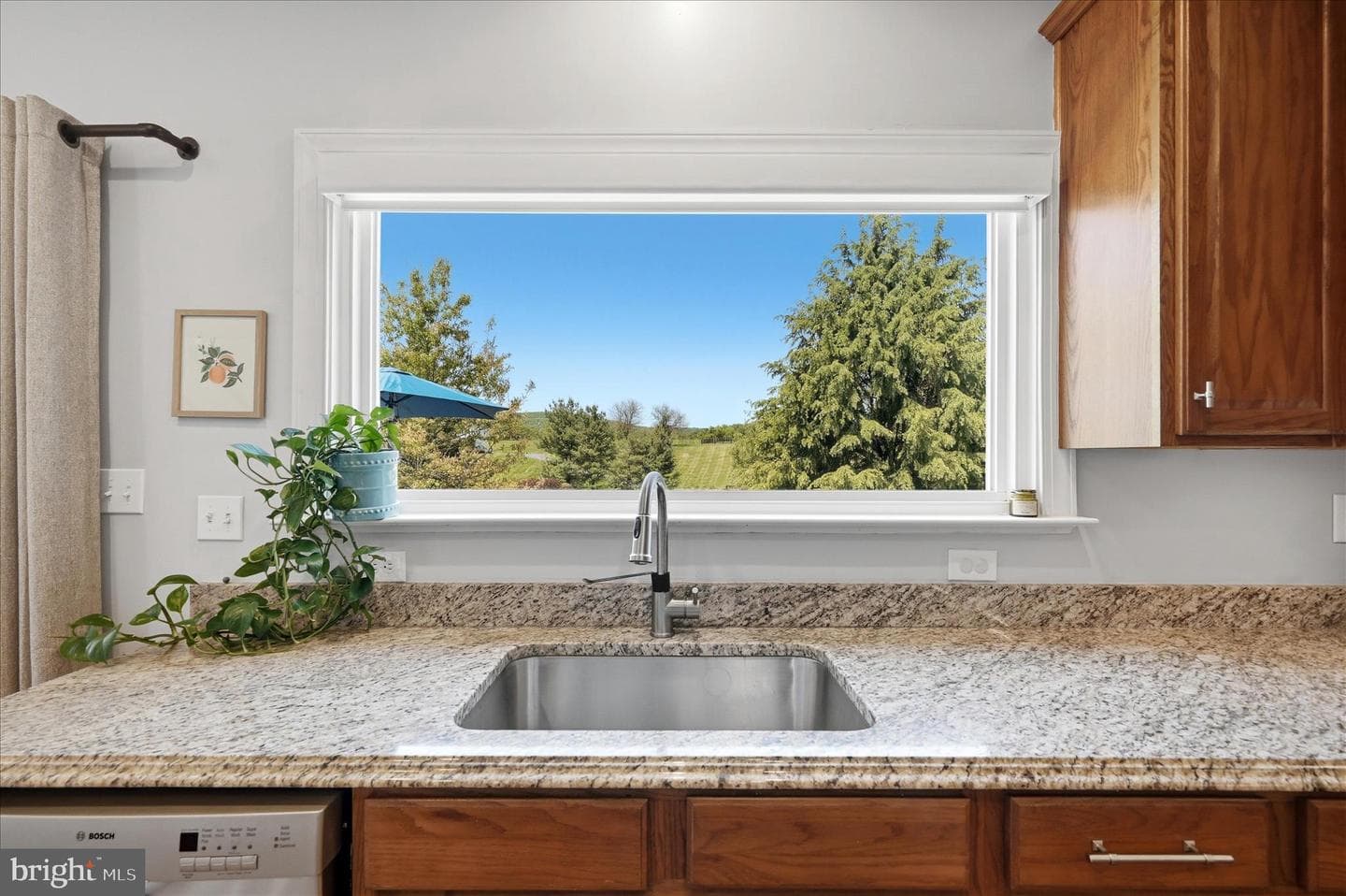 36704 Vineyard View Place photo 23