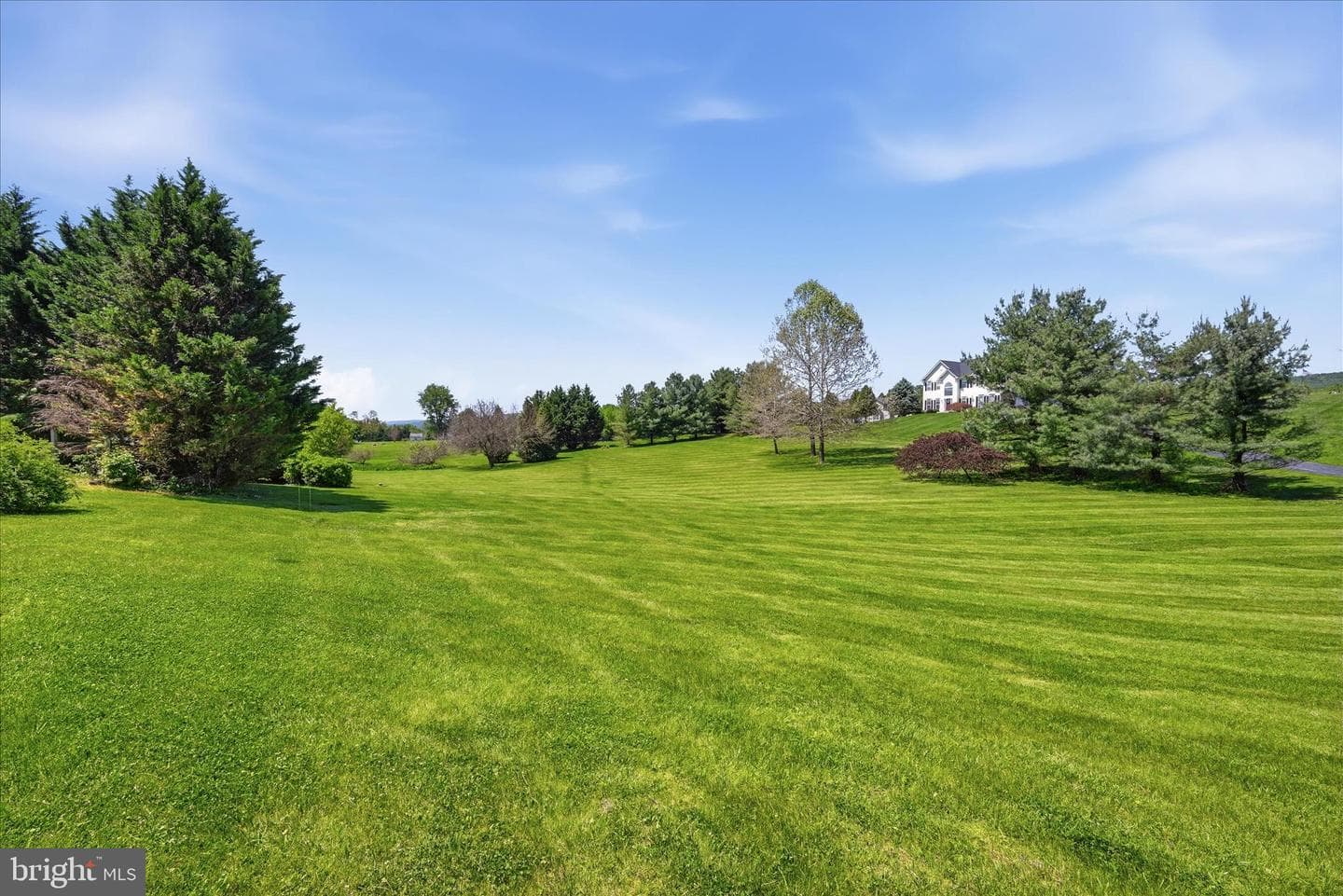 36704 Vineyard View Place photo 60