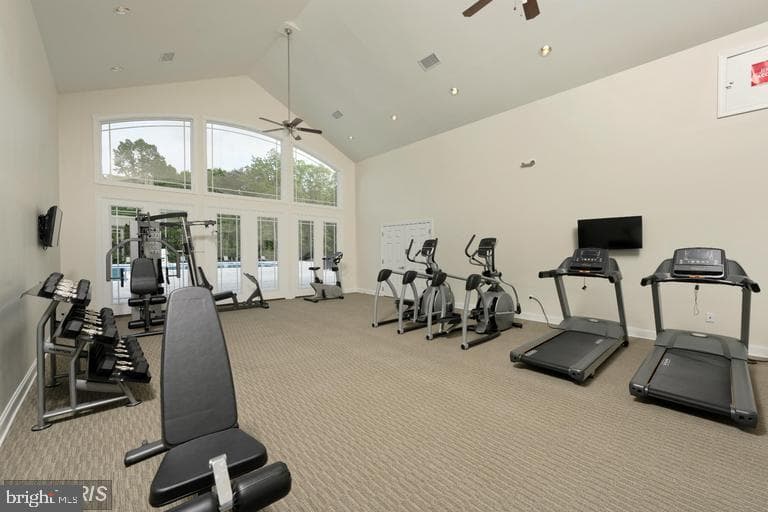 25286 Gray Poplar Terrace photo 44