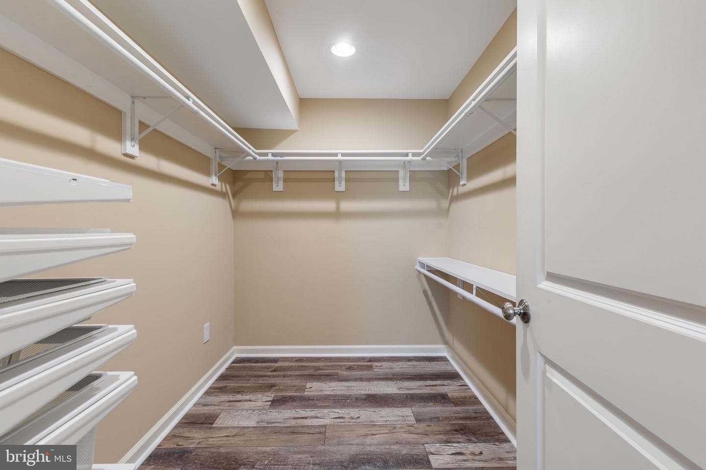 42436 Myan Gold Drive photo 48