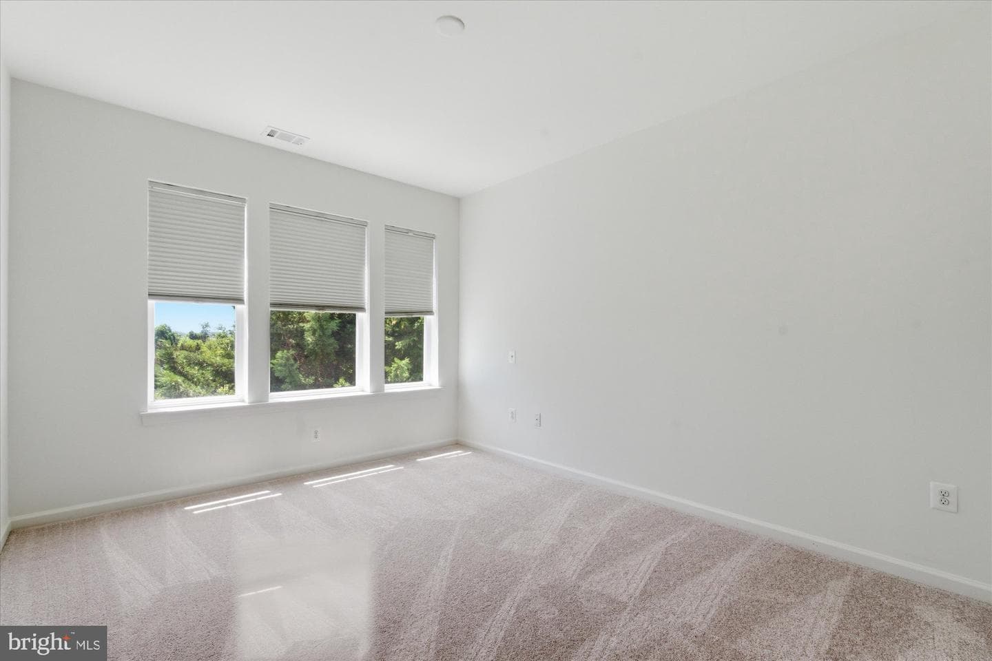 20650 Hope Spring Terrace #301 photo 24